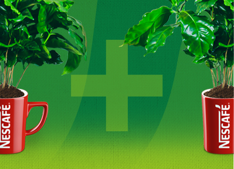 Женщины-фермеры из Кении относятся к бизнесу серьёзно