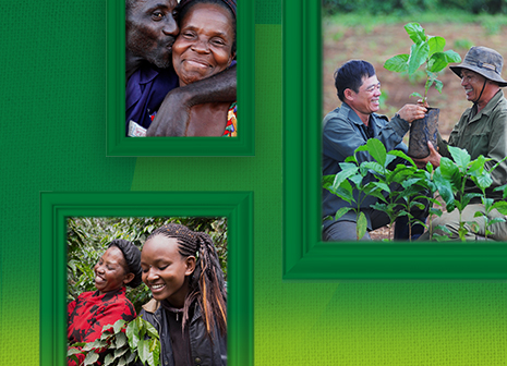 Кофе у нас в крови