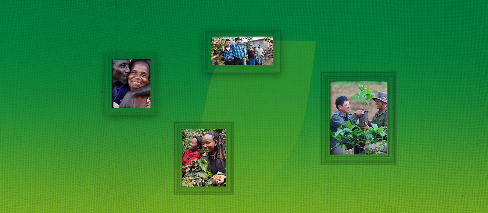 Выращено с уважением 